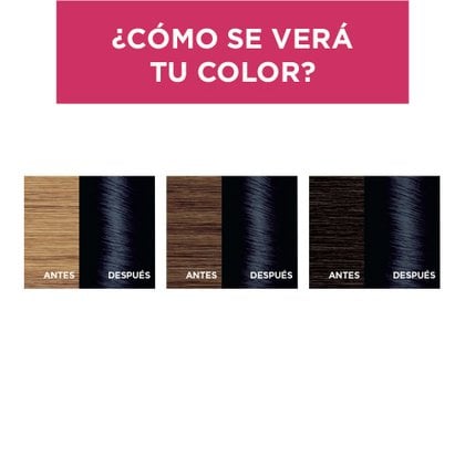 EXCELLENCE TINTE NEGRO 28 RESULTADOS