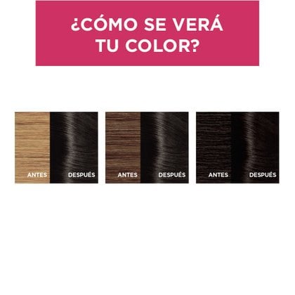 EXCELLENCE TINTE CASTANO 300 RESULTADOS
